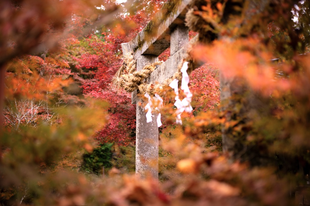 鳥居