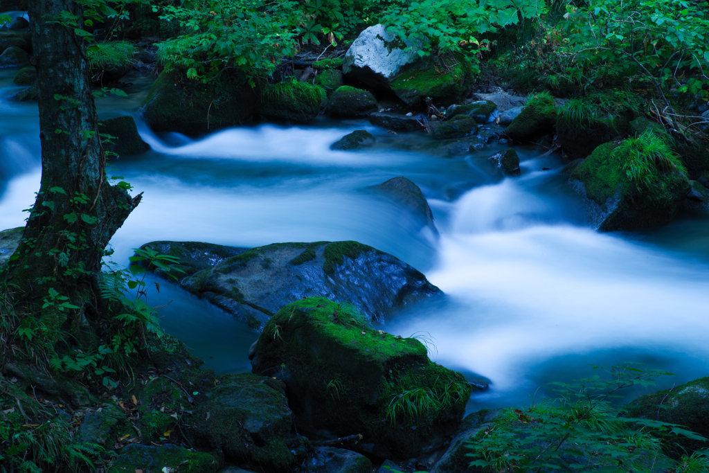 Oirase stream
