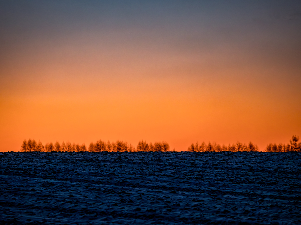 Morning Glow