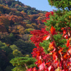 11月京都嵐山
