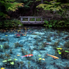 POND