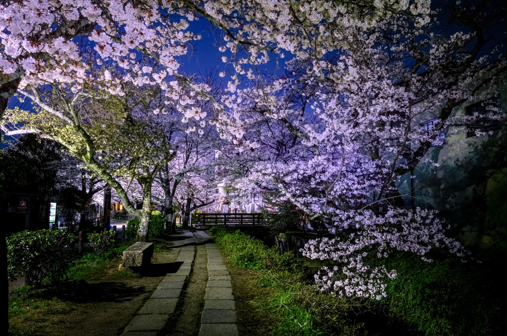 MIDNIGHT　哲学の道