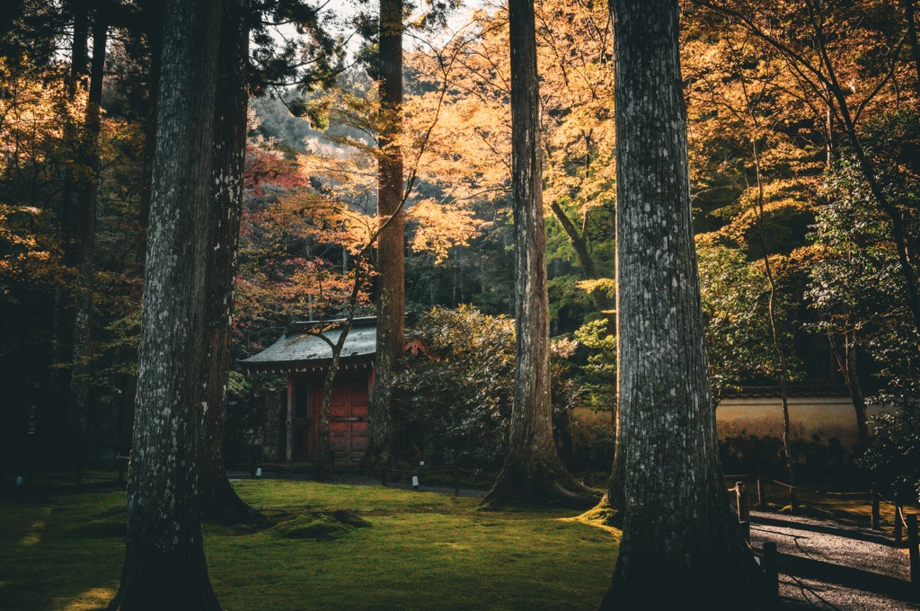 大原三千院