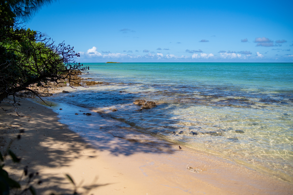 Slightly wild beach