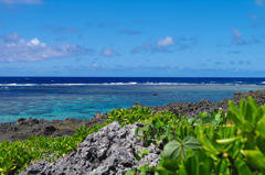 夏の南海岸