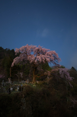 古の月夜