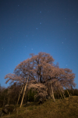 里山に来る春