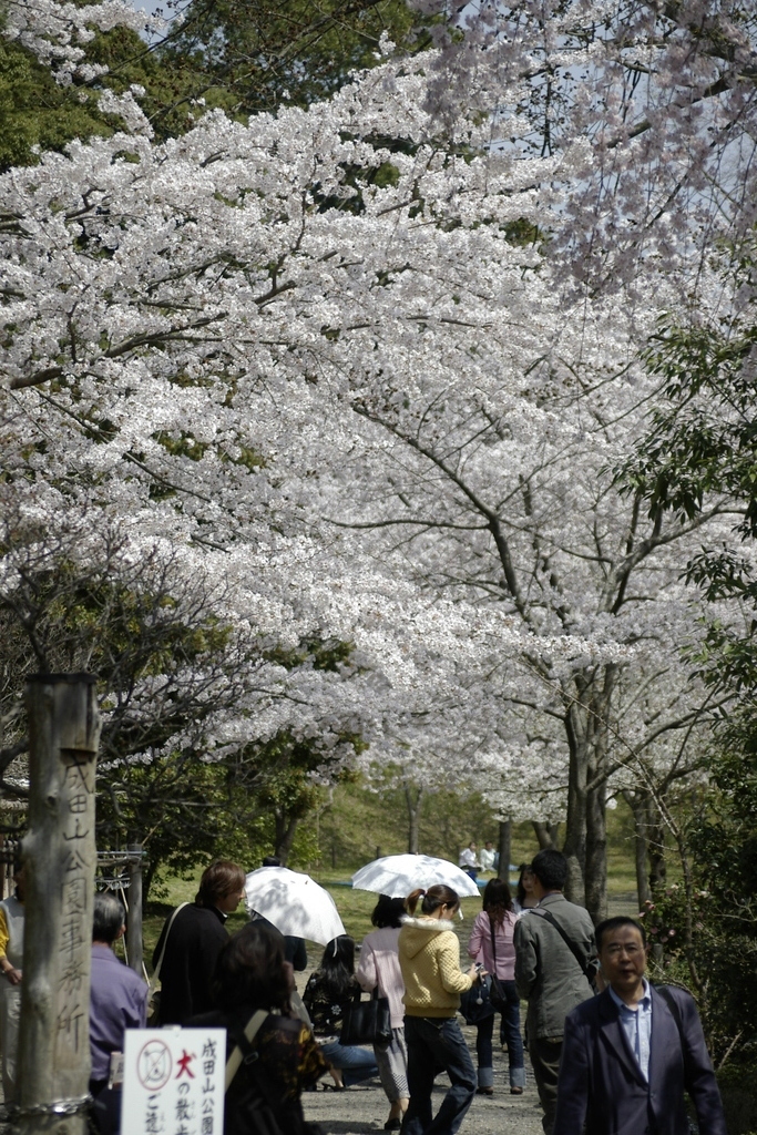 成田山