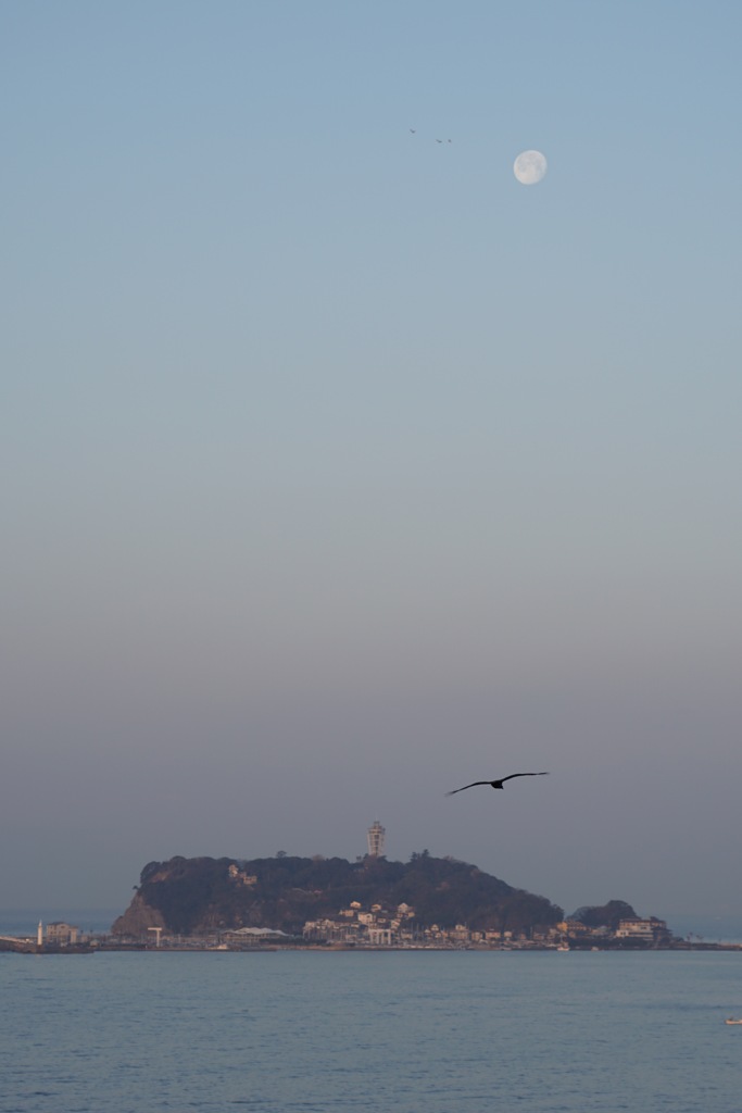 鎌倉沖