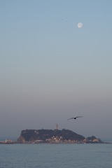 鎌倉沖