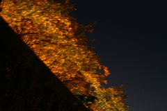 秋の夜の三色