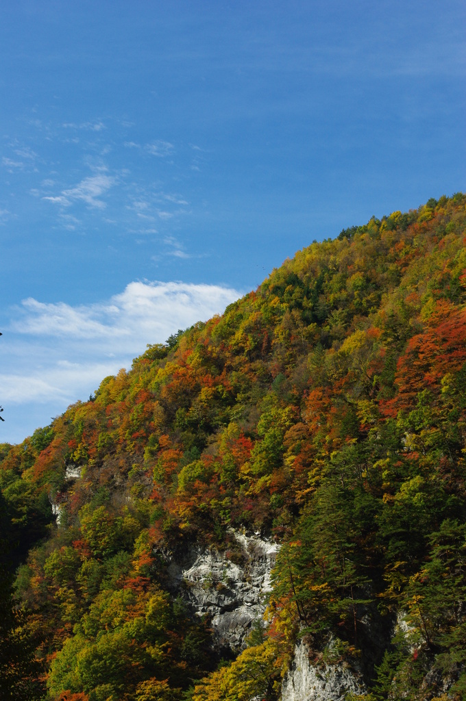 秋山