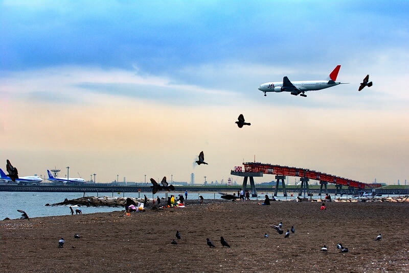 海浜公園