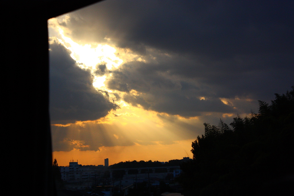 バスからの夕焼け
