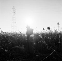 40590010-p