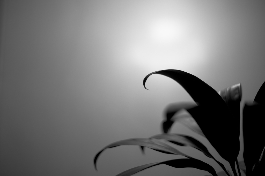 impression