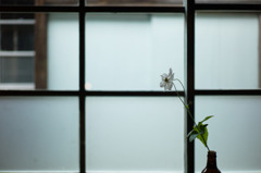 L1001099-Edit