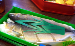 鮎寿し　駅弁なり