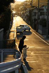 夕方の散歩