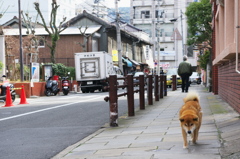 一人歩き