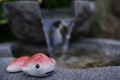 金魚？