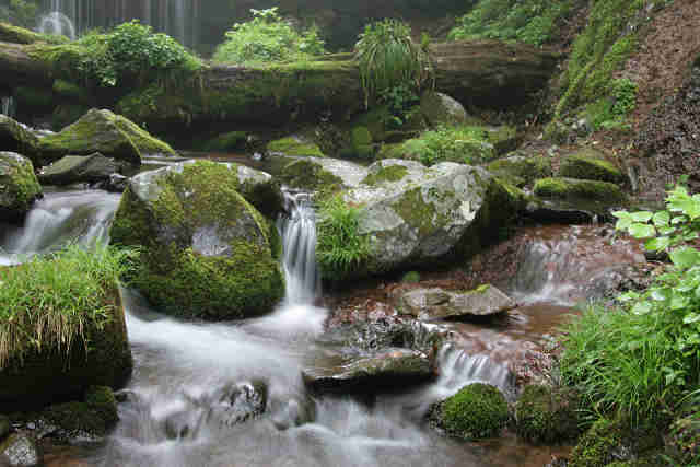 滝の下流