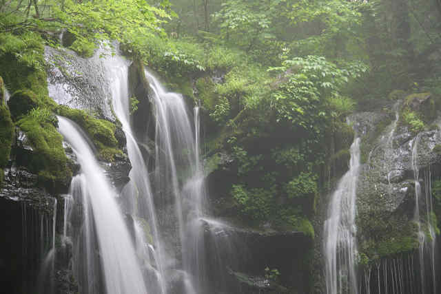 霧雨の猿壷の滝