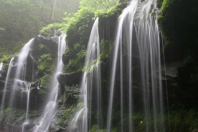 雨の苔滝