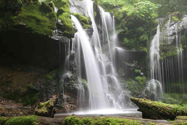 別名「苔滝」