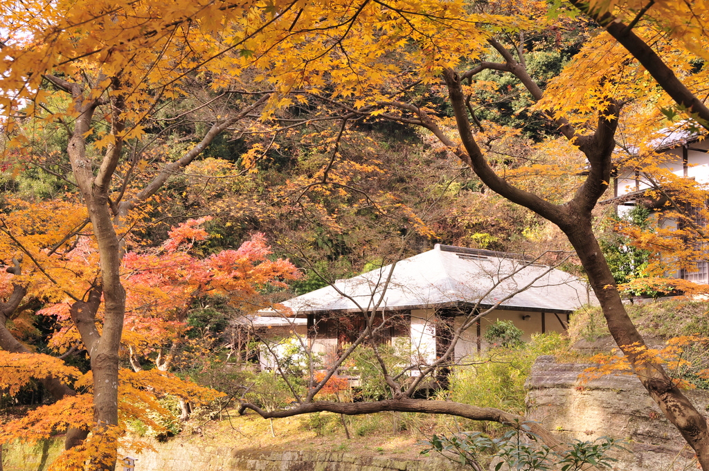 鎌倉 034