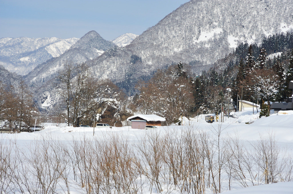 キハが行く-20100111-114153_01