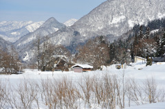 キハが行く-20100111-114153_01