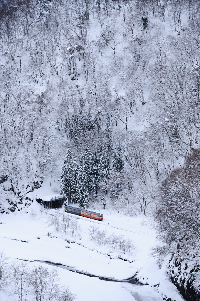 キハが行く-20100104-142842_02