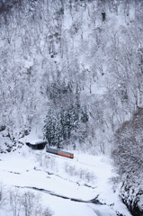 キハが行く-20100104-142842_02