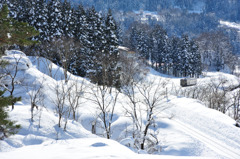 キハが行く-20100109-115400_01