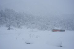 キハが行く-20100105-120335