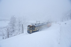 キハが行く-20100105-114353
