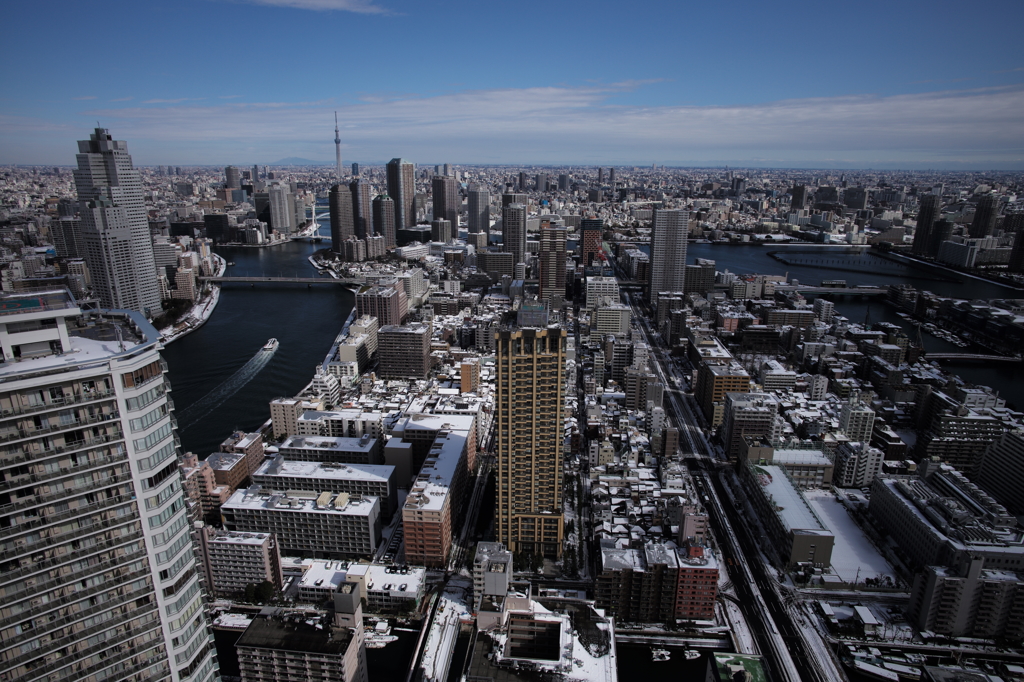 東京雪化粧