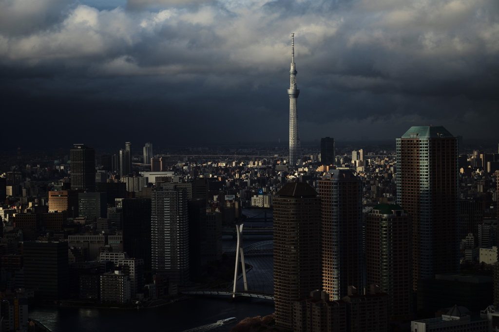 東京は、春