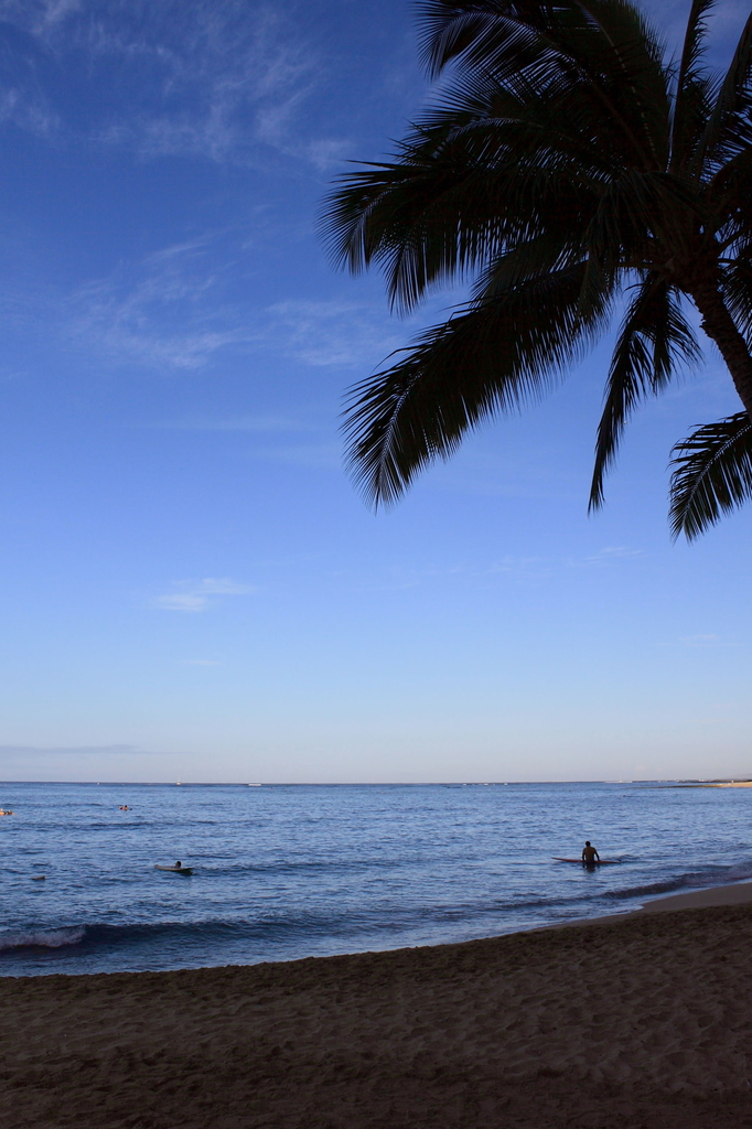 Ehukai Beach