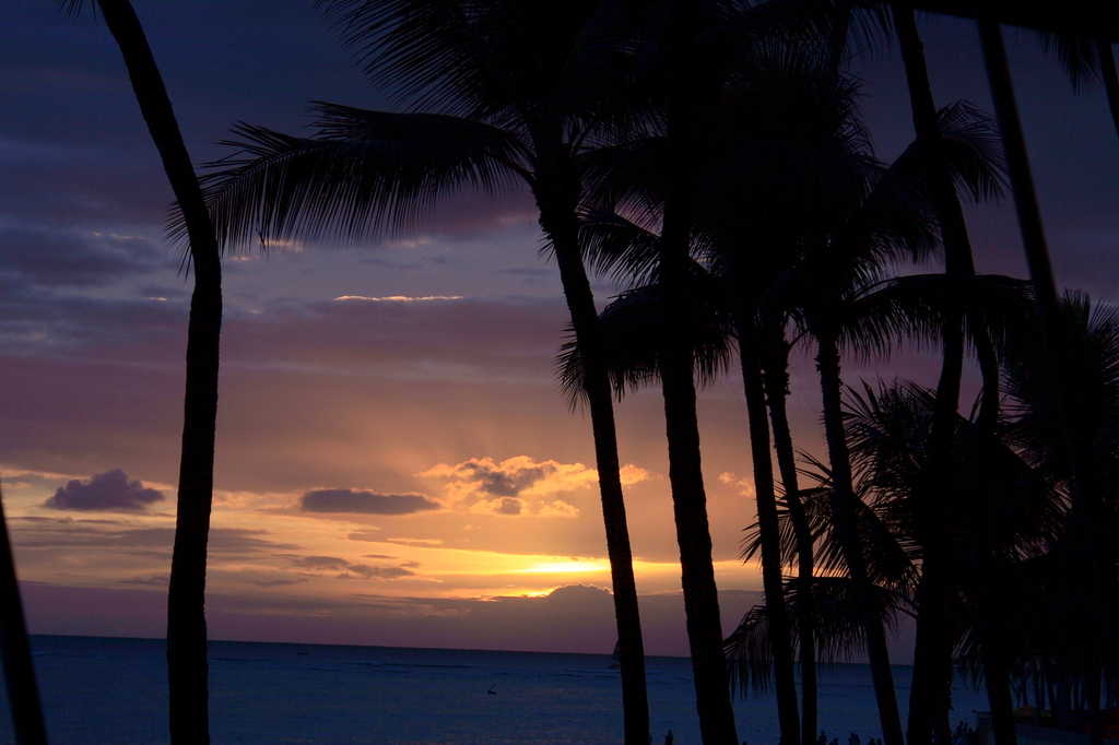 Waikiki Beach Sunset