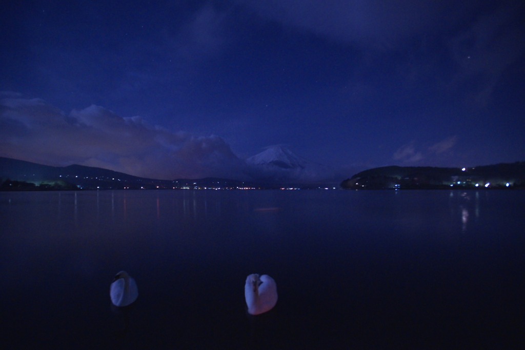 Swan Lake