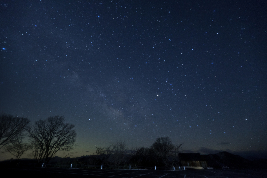 Scorpion by the Milky Way