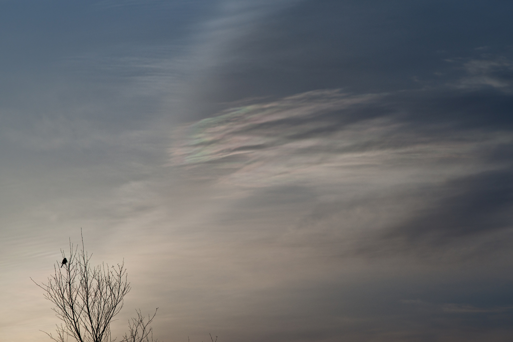 iridescent at daybreak