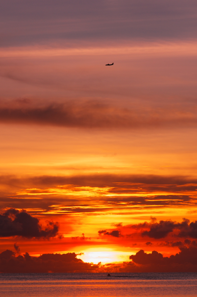 Sunset Flight