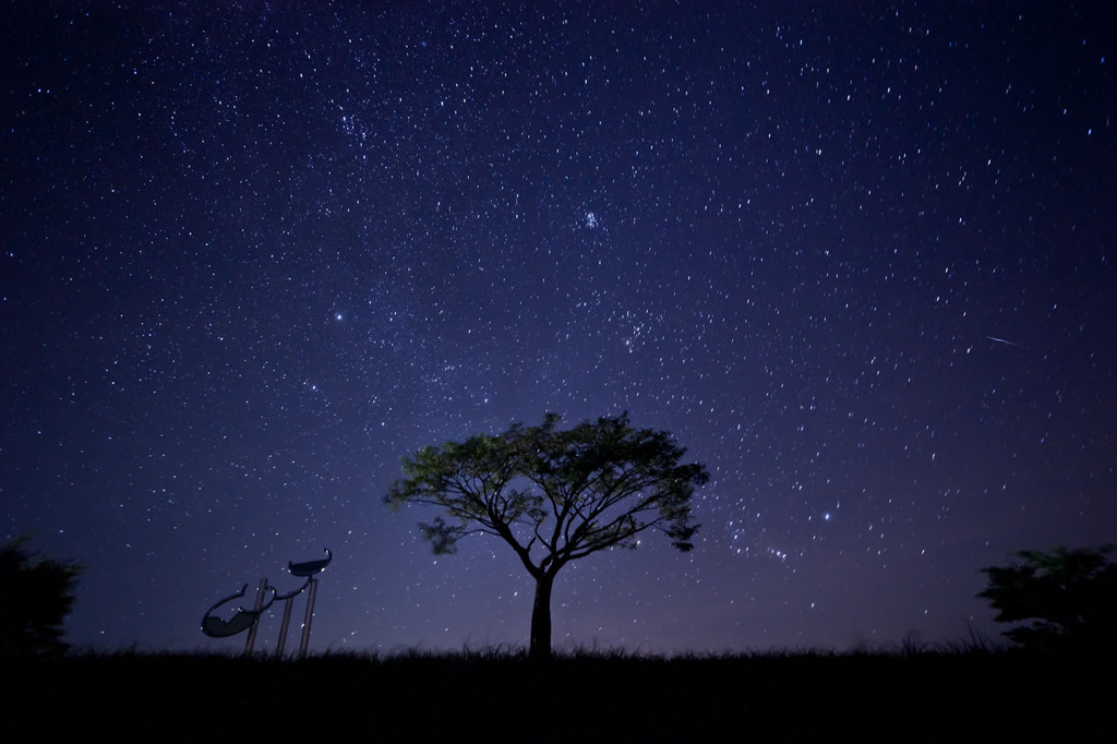Waiting For A Star To Fall 