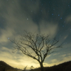 spring starry sky