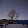 Triangle of winter playing with tree