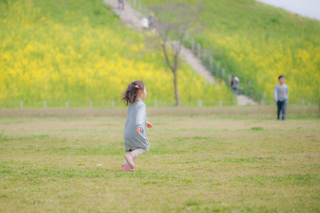 皐月の風