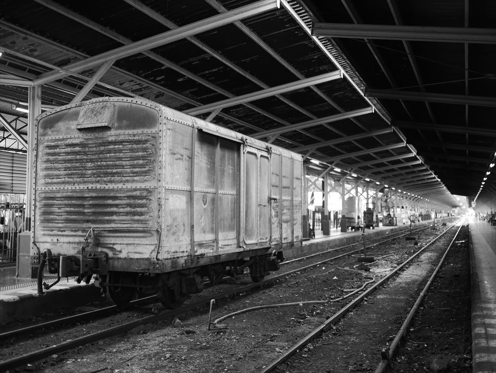 P1000246_R